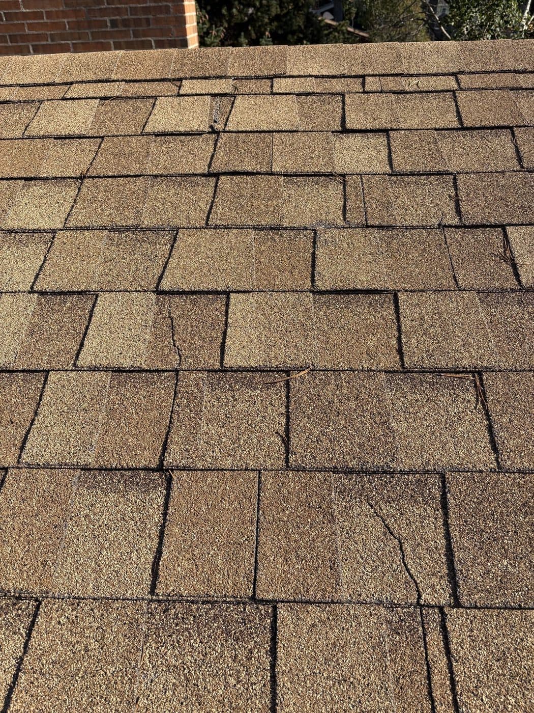 Brown asphalt shingles cracked across the field